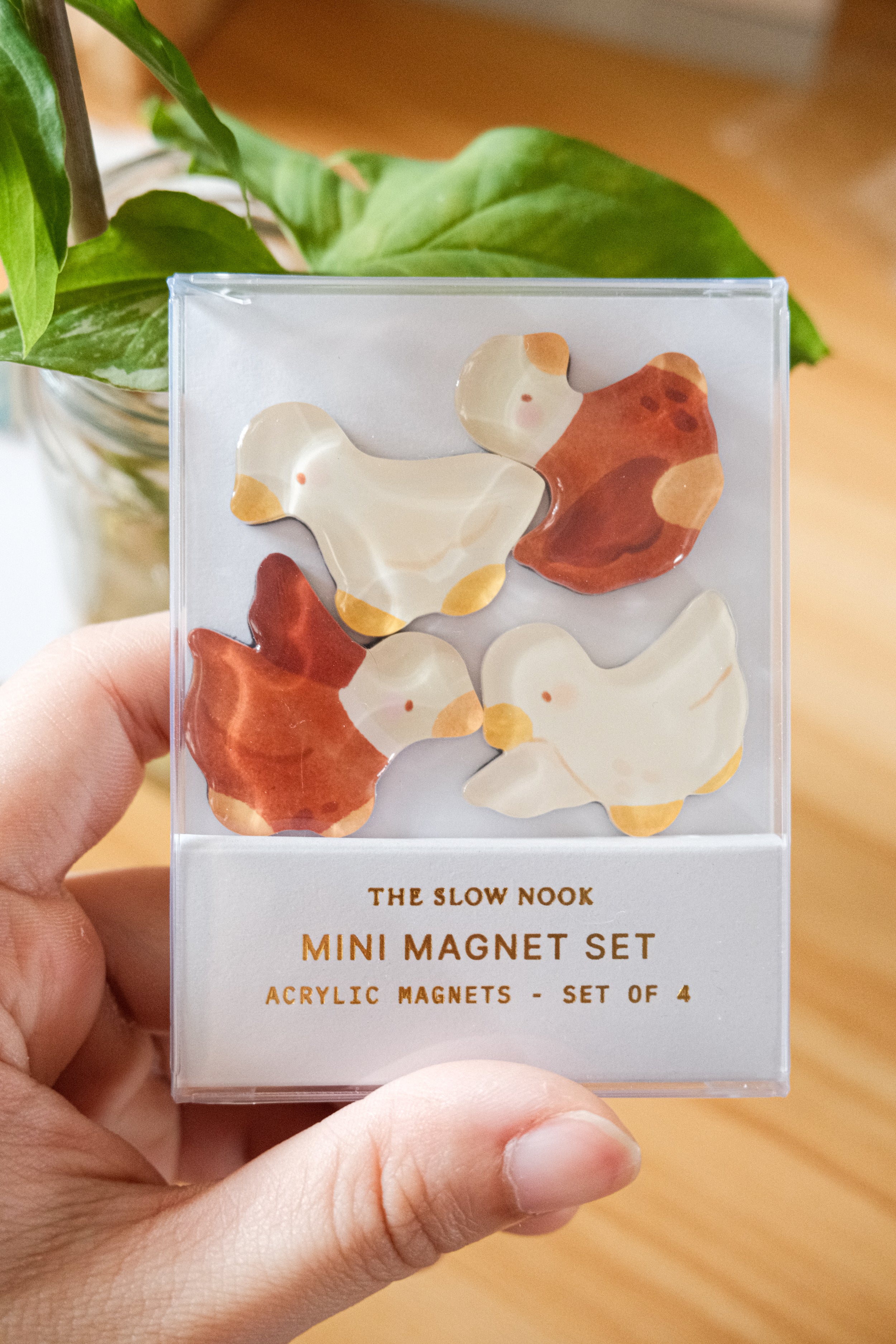 Mini Magnet Set | Ducks