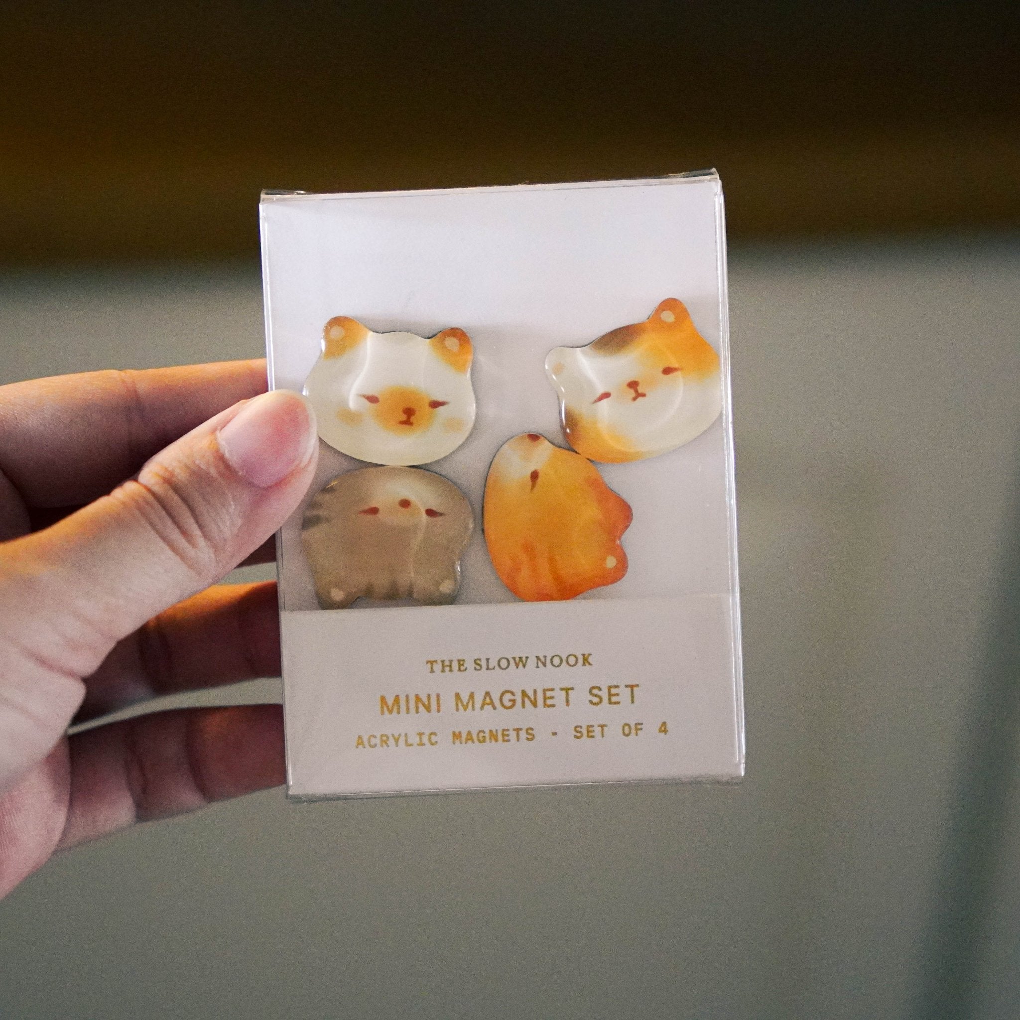 Mini Magnet Set | Cats