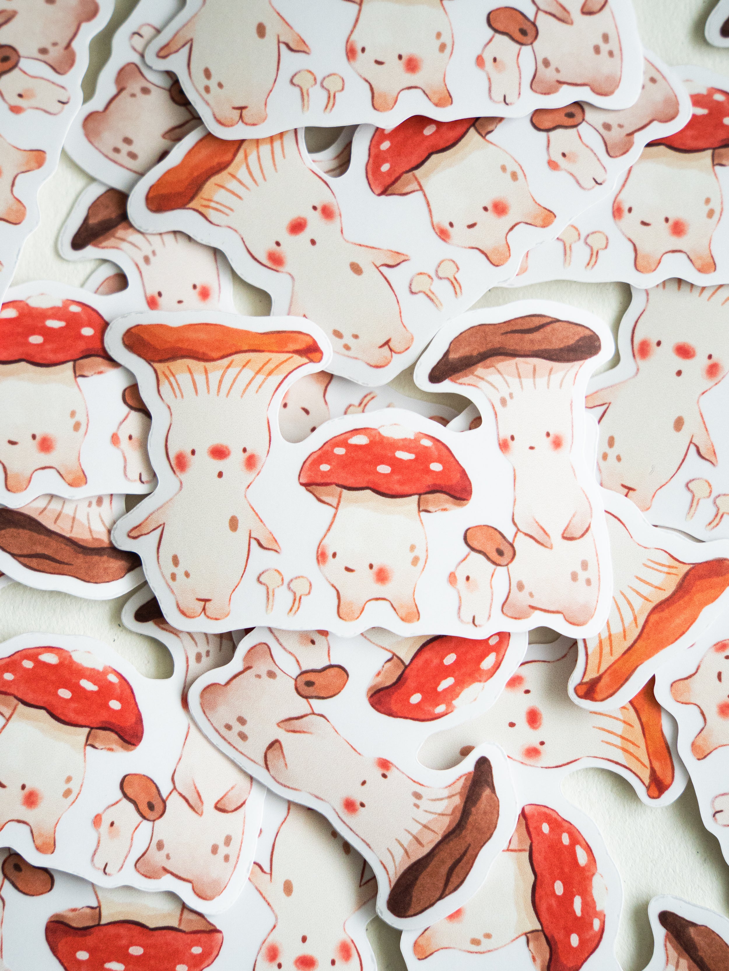 Transparent Vinyl Sticker | Fun Guys Funghis