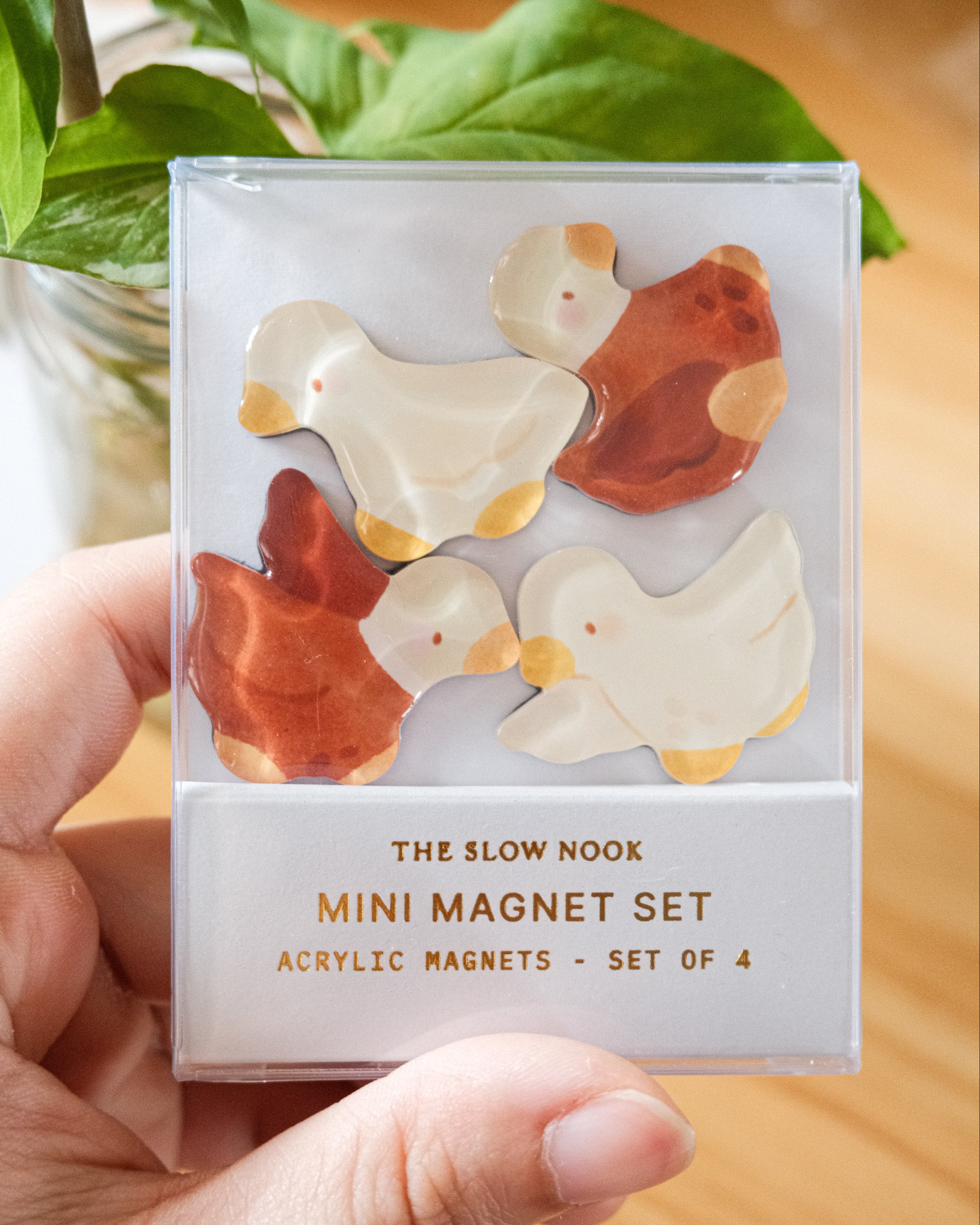 Mini Magnet Set | Ducks