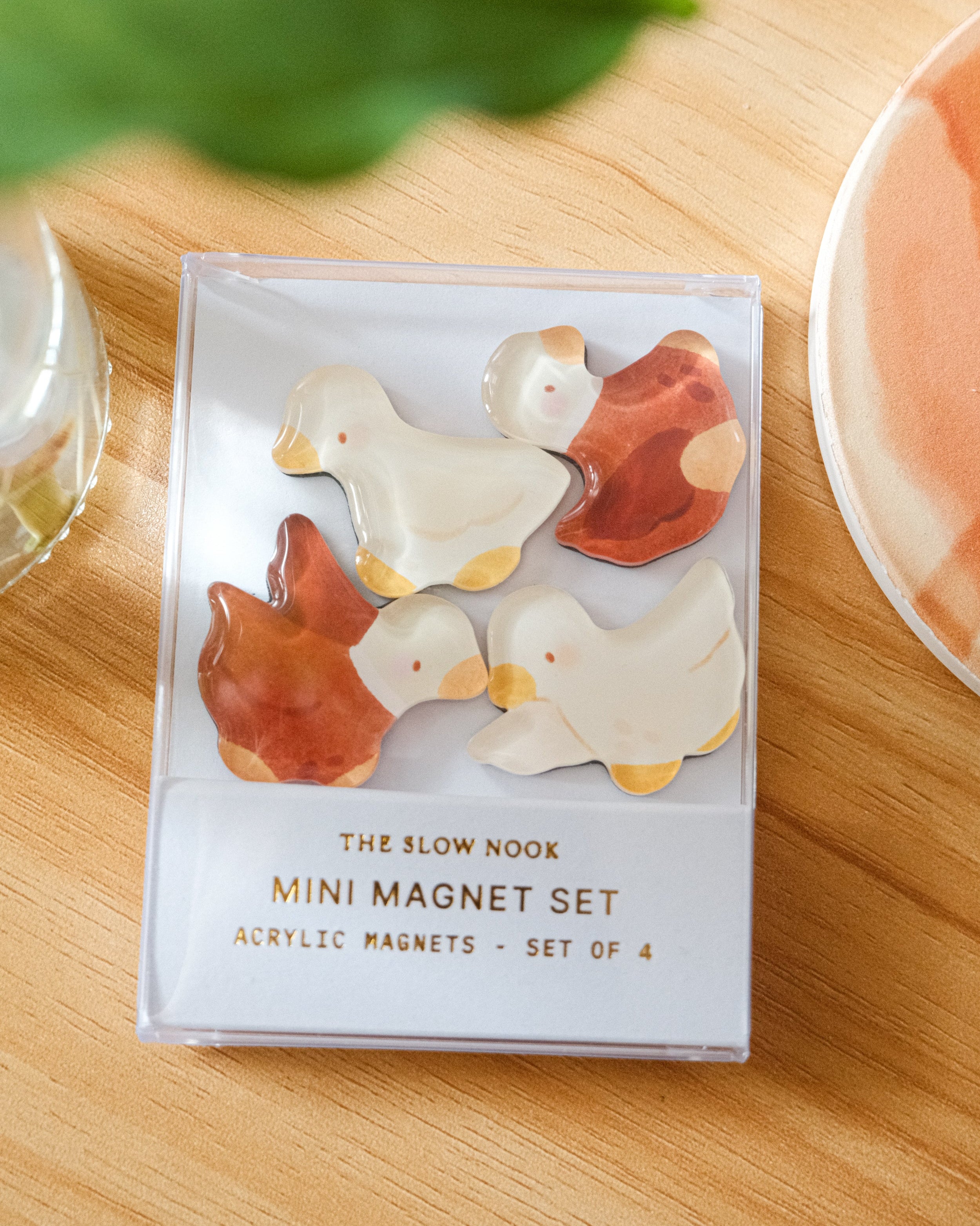 Mini Magnet Set | Ducks