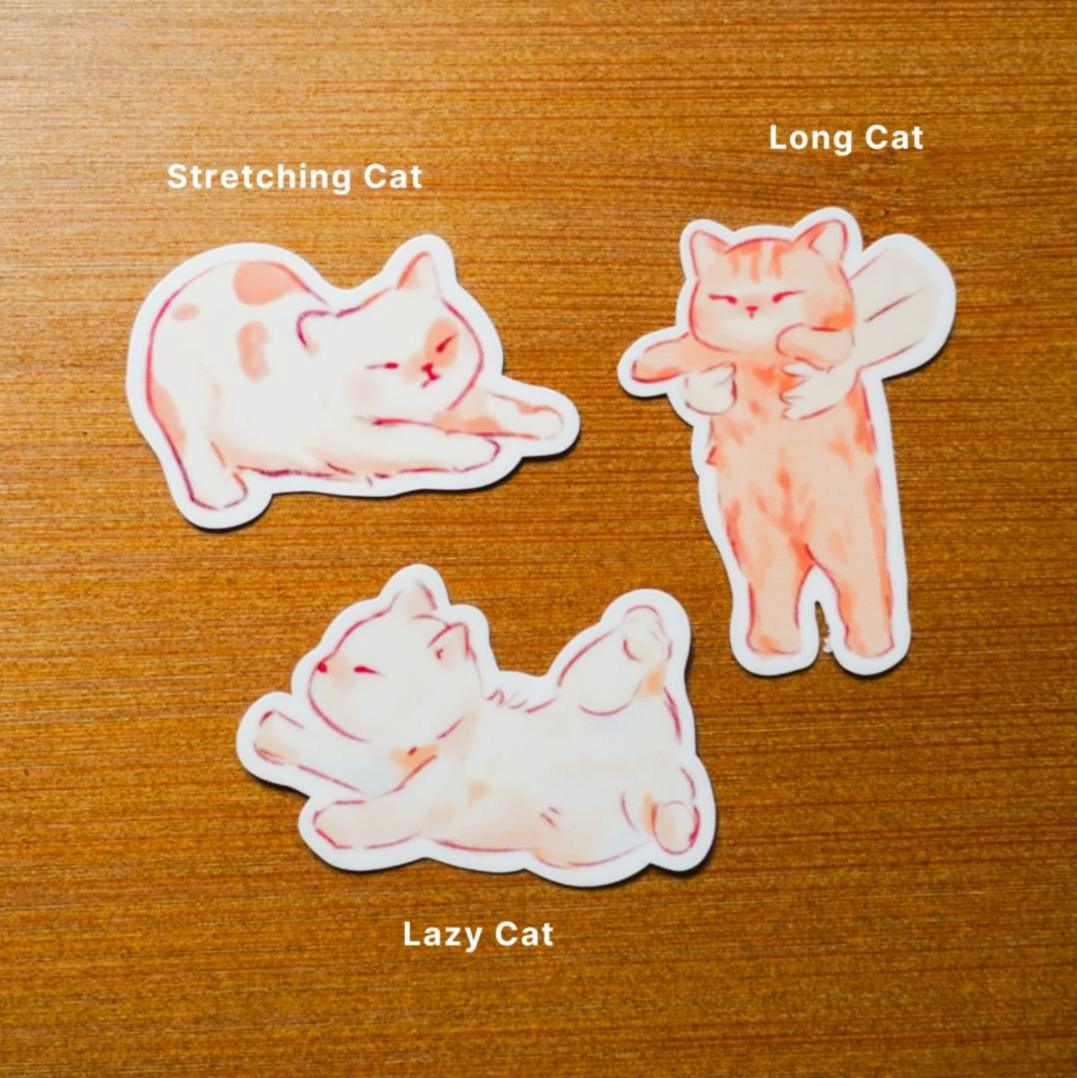 Vinyl Sticker | Cats