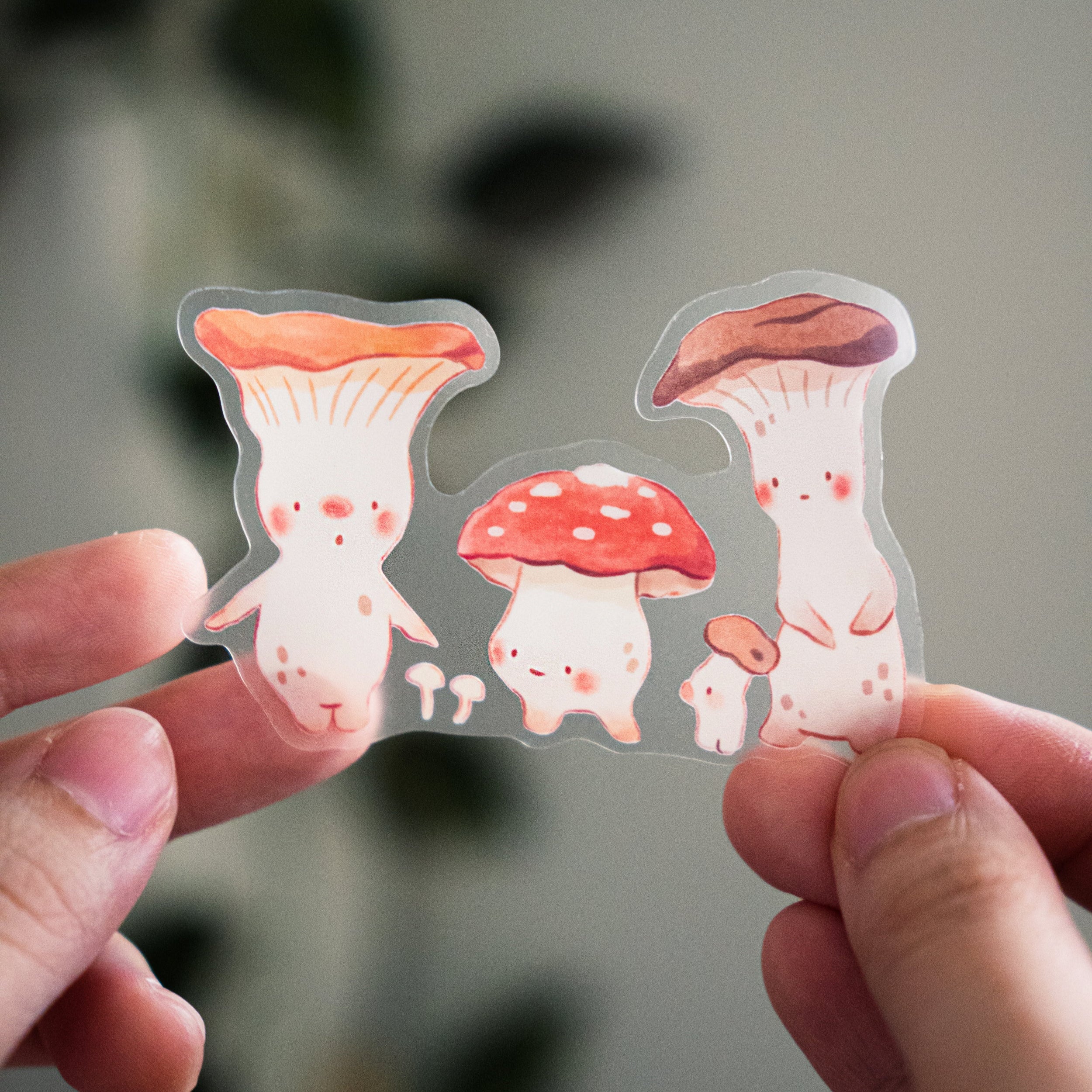 Transparent Vinyl Sticker | Fun Guys Funghis