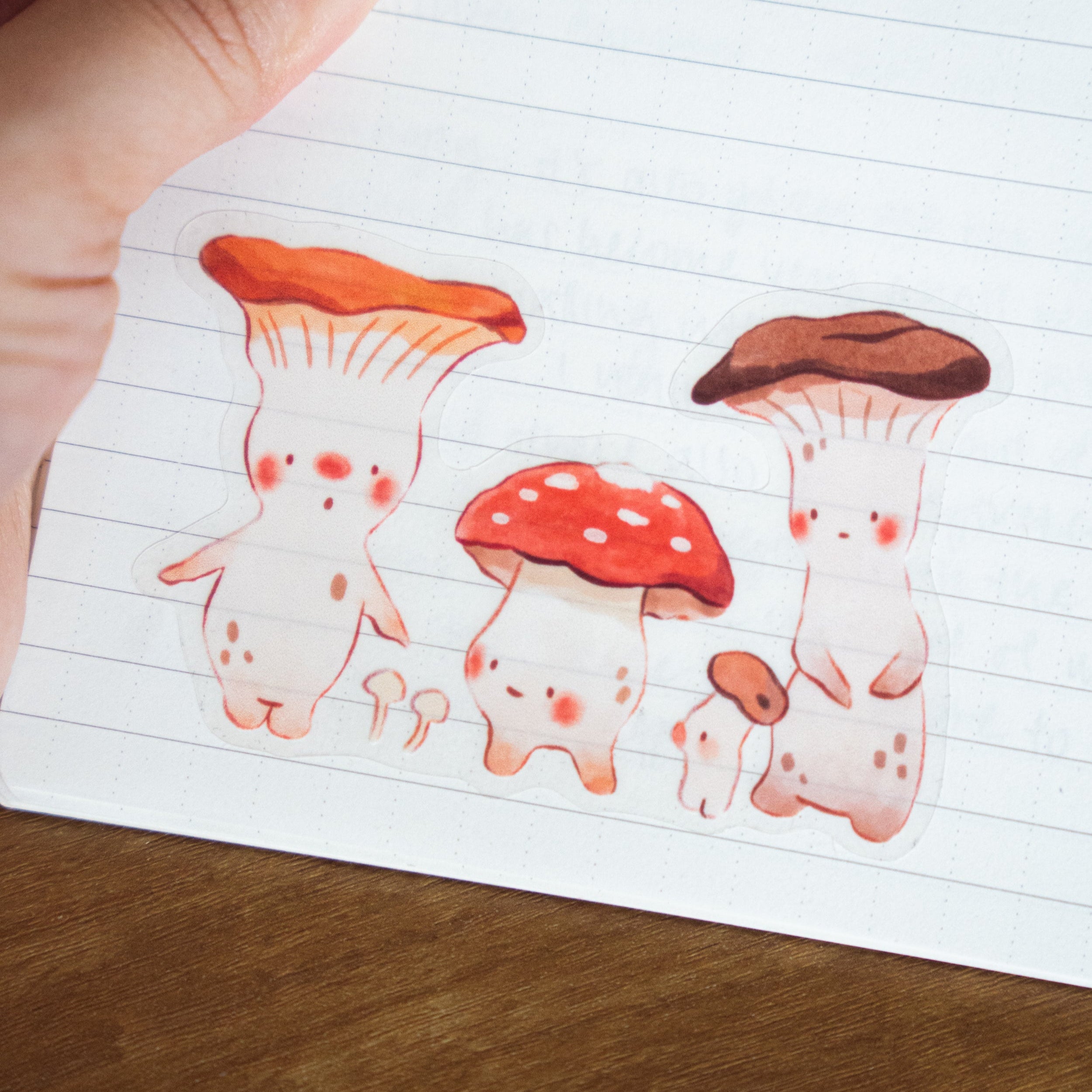 Transparent Vinyl Sticker | Fun Guys Funghis